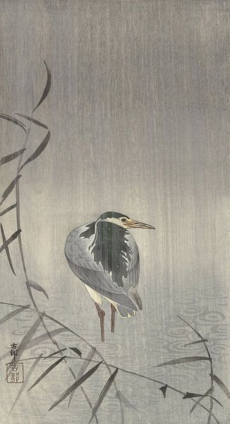 Quaken im Regen von Ohara Koson von Gave Meesters