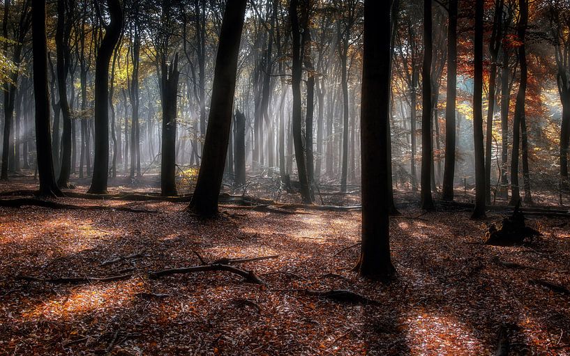 Autumn Diaries V von Em We