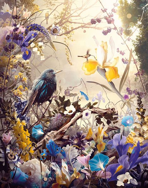 Virtùs von Jesper Krijgsman