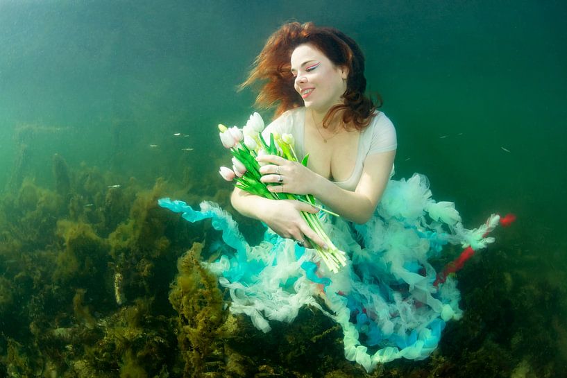 Greetings from the Netherlands by Filip Staes