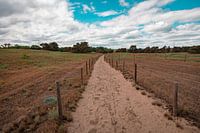 M A I N Z E R   S A N D