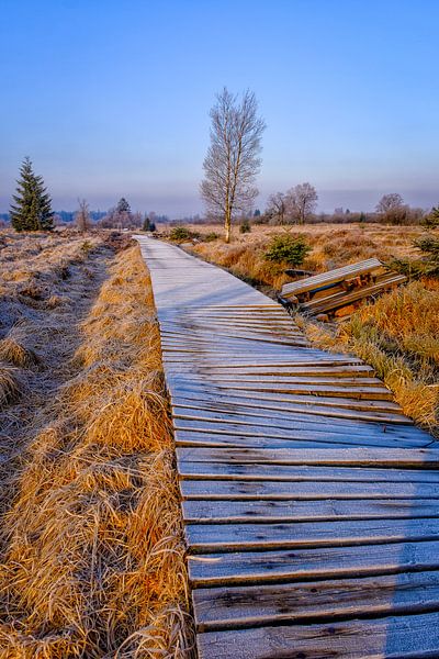 Holzfußweg in Hove Venen von Johan Vanbockryck