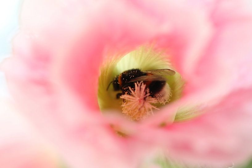 Bij op zoek naar . . . by Jannie Domburg van Woudenberg