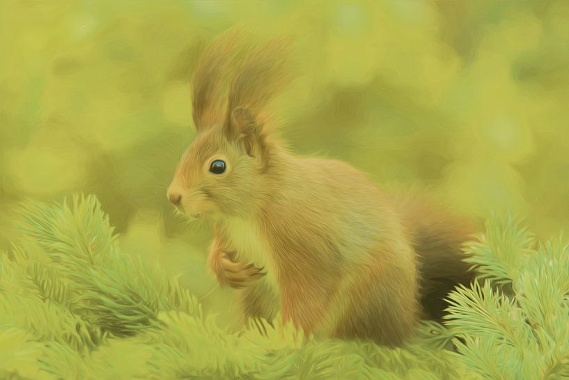 Écureuil par didier de borle