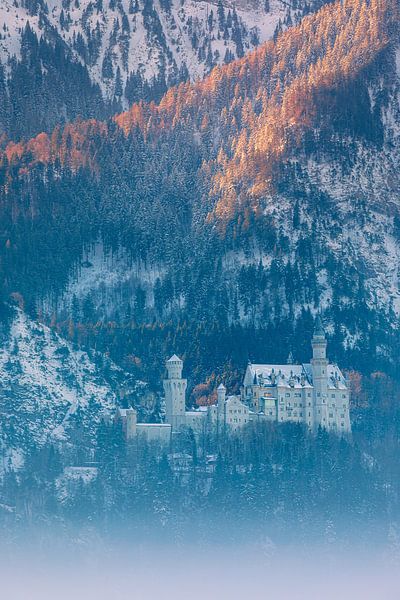 Château de Neuschwanstein, Allgäu, Bavière, Allemagne par Henk Meijer Photography