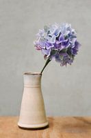 Vase avec hortensia bleu violet | Fleurs en papier | Nature morte | Photographie