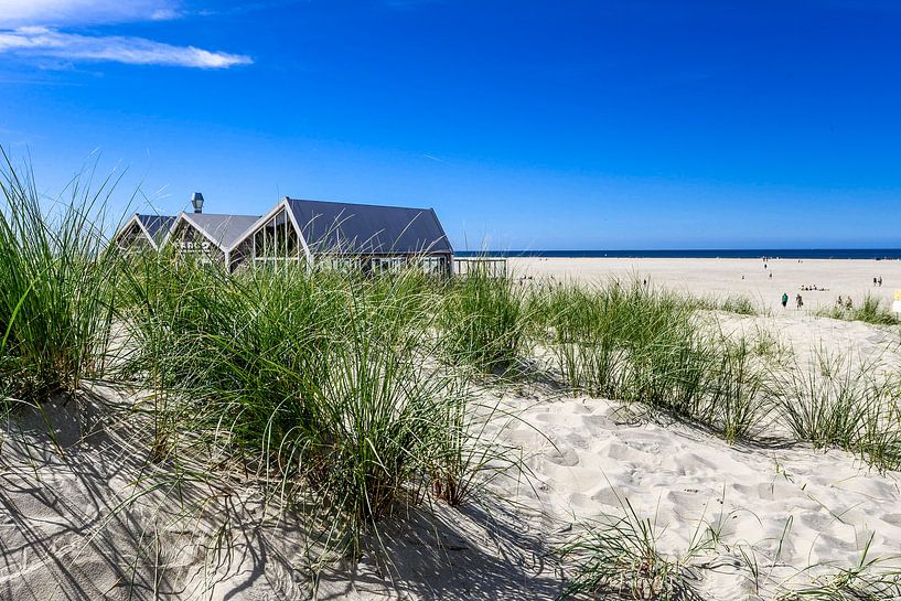 ^^^ von Hannes Cmarits