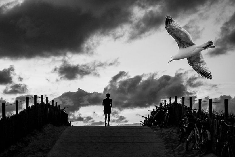 Vögel 4 von Hans Levendig (lev&dig fotografie)