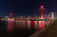 Rotterdam - Willemsbrug vom Maasboulevard aus