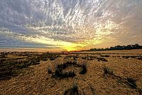 Loonse- en Drunense Duinen