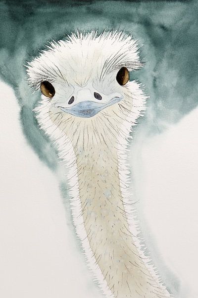 Der glückliche Strauß (lustige Aquarellmalerei Holzkohle Tiere Vogel Kinderzimmer Babyzimmer) von Natalie Bruns