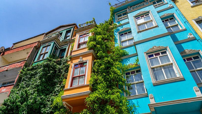 Colorful houses in Balat in Istanbul, Turkey by Jessica Lokker