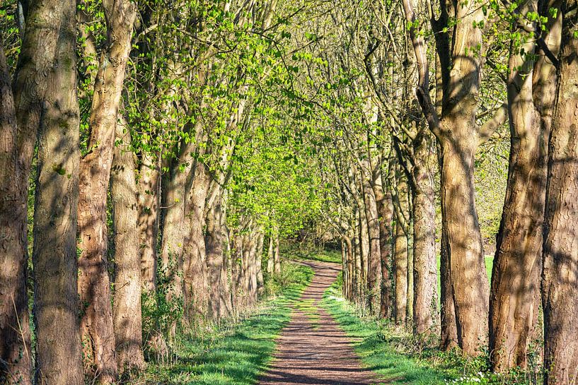 Bergisches Land, Odenthal, Germany by Alexander Ludwig
