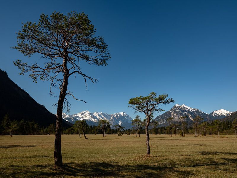 View to the Zugspitze between Oberau and Farchant by Andreas Müller