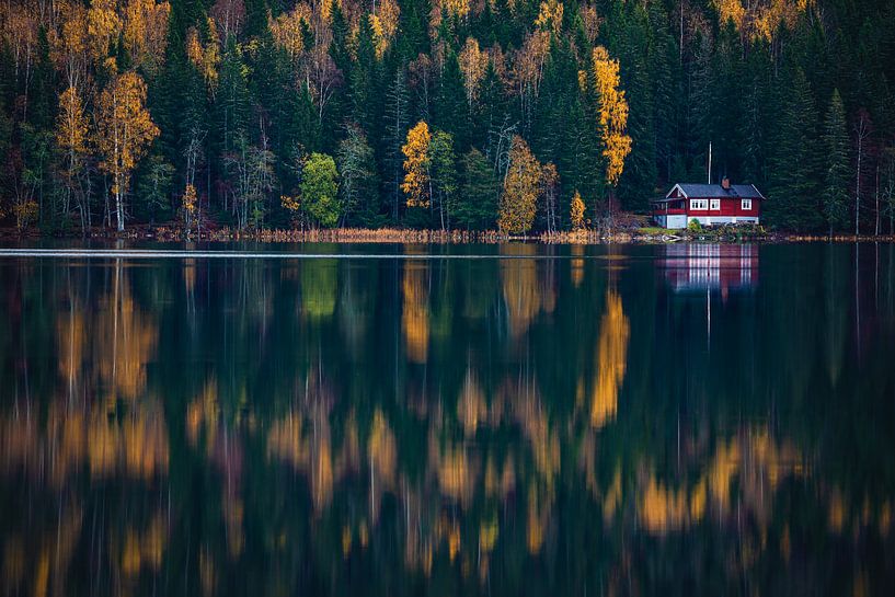 Maison en bois parmi les arbres par Martijn Smeets