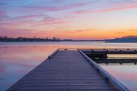 Schilfpfütze, Emmen