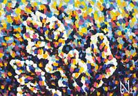 Unterwasserwelten (2)