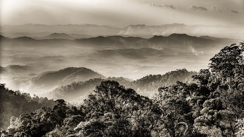 Panorama Regenwald in Genting Highlands in Malaysia in schwarz-weiss von Dieter Walther