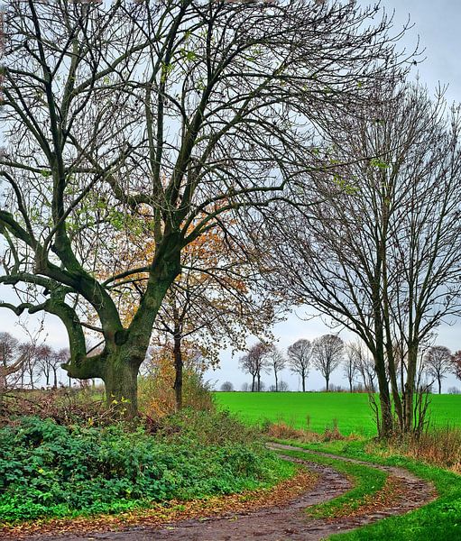 Feldweg von Edgar Schermaul