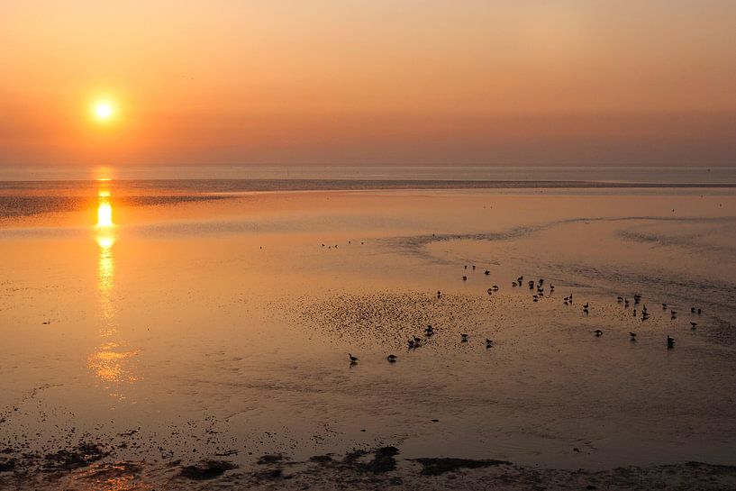 Lever de soleil sur la mer des Wadden à Texel par Beschermingswerk voor aan uw muur
