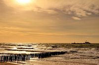 Met de haven in zicht