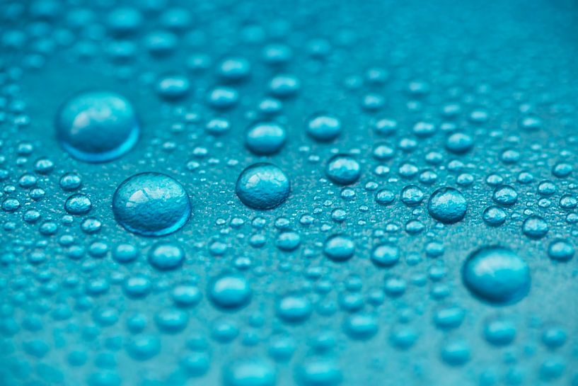 Drops drops drops drops by Birgitte Bergman