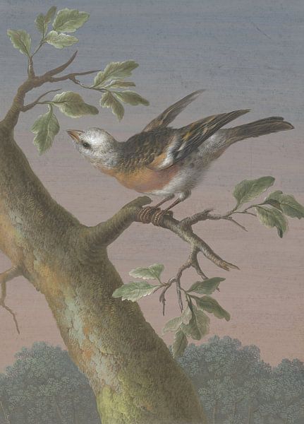 Schneeammer, Barbara Regina Dietzsch - ca. 1716 von Het Archief