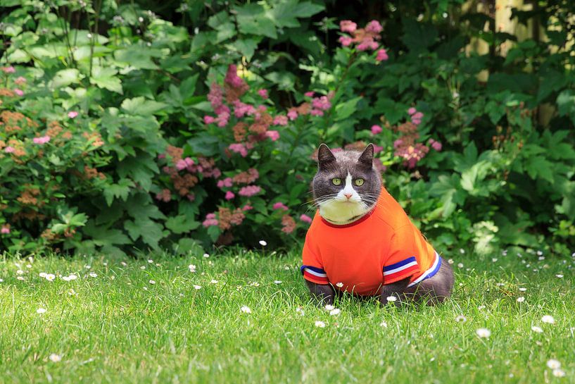 Ria met haar Nederlands elftal shirt by Dennis van de Water