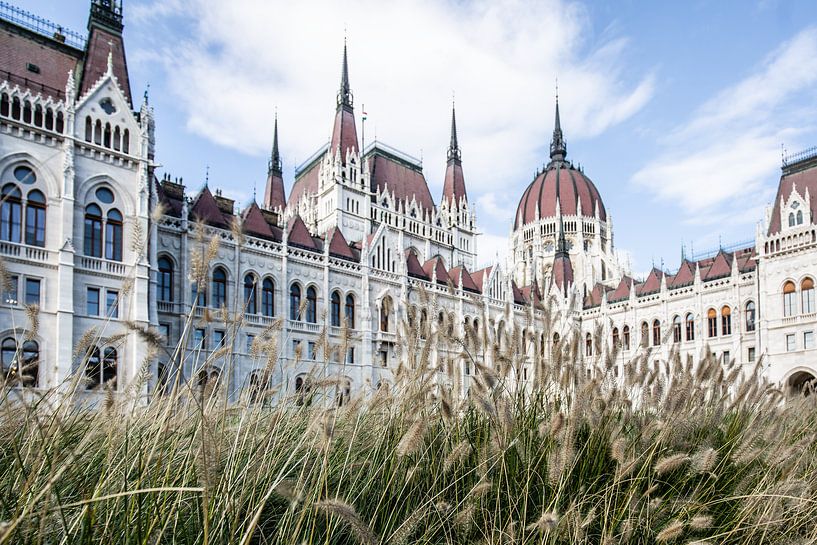 Budapest von Eric van Nieuwland