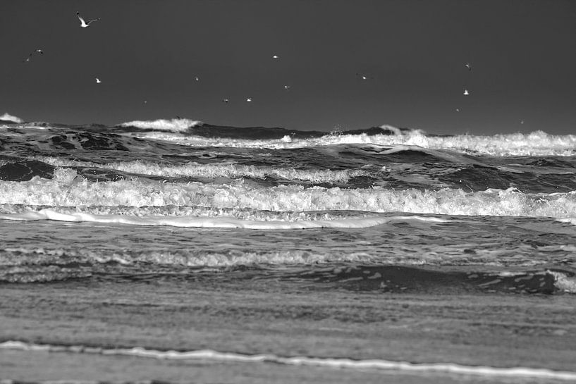 Sturmwellen auf der Nordsee von Jan Brons