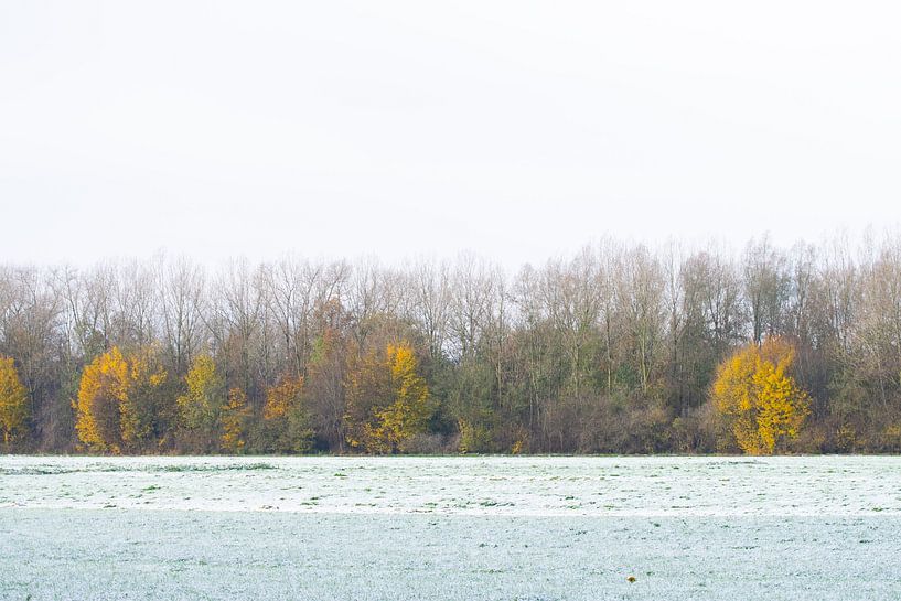 Erster Schnee von Ingrid de Vos - Boom