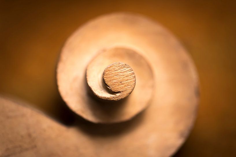 Krullen en spiralen von Jolanda van Straaten