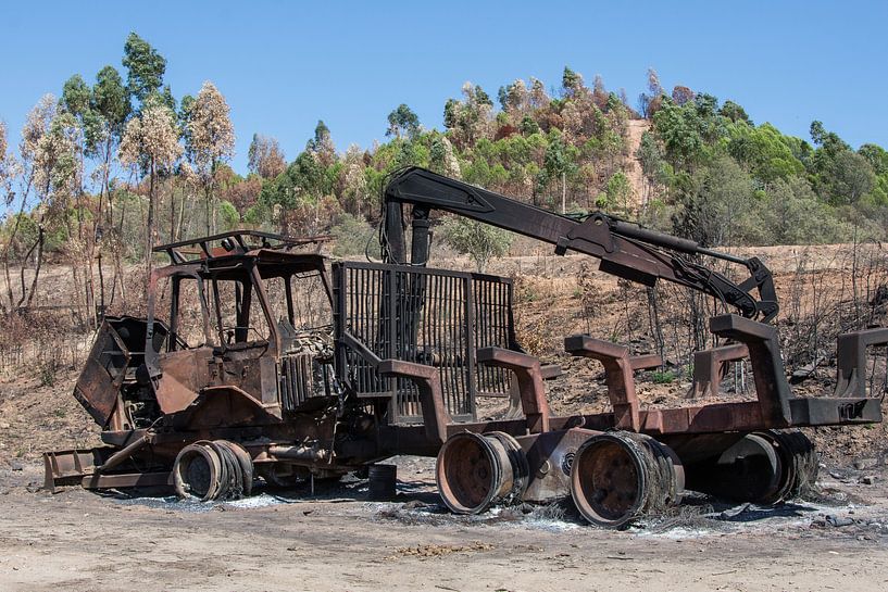 Verbrannt von Yvonne van der Meij