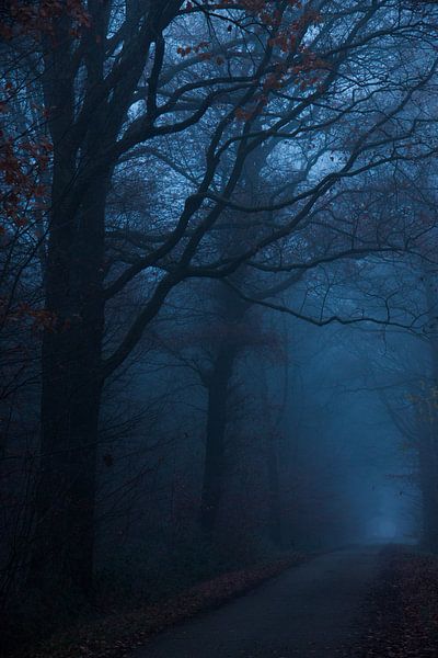 The Misty Road by Pieter Navis