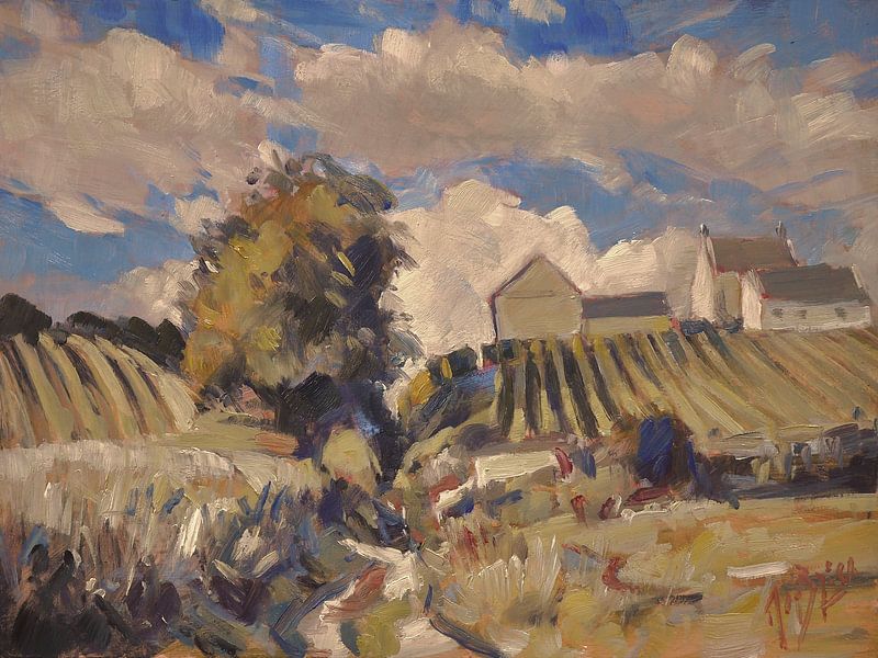 Frühling von Nop Briex