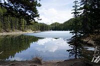 Lac à l'orignal dans les montagnes Rocheuses Canada