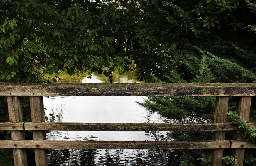 De brug by Anne Sparidans