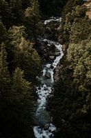 Rivière à travers les forêts de Suisse, Europe