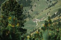 Österreichische Alm