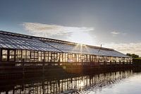 Le soleil sur le passé