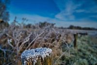 Winter in the Netherlands