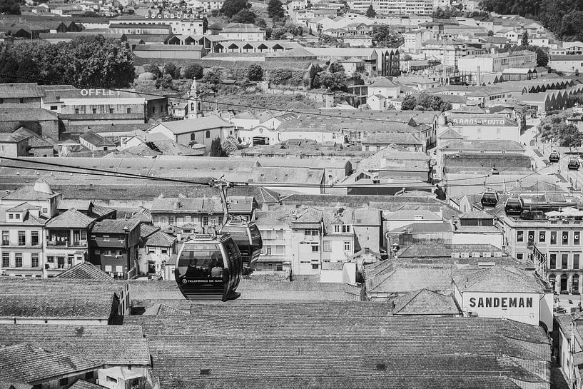 black and white by Quinten Van Ooijen