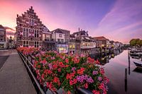 In der Dämmerung in der Blowen Hoet - Goringhem