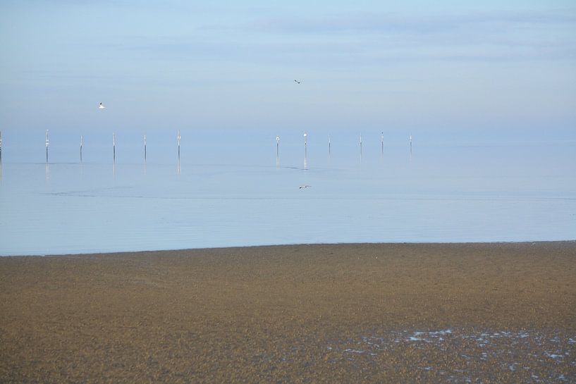 Poteaux dans l'eau par VenPhoto