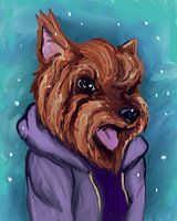 Niedlich, Winter-Yorkshire-Terrier