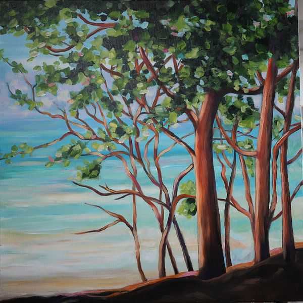 Côte d'or Australie par Ineke Zeeuw