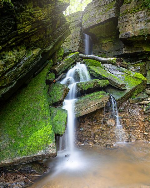 Bitburg, Eifel, Rhineland-Palatinate, Germany by Alexander Ludwig