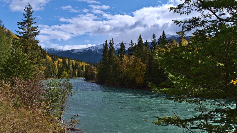 Fraser River im Herbst von Timon Schneider