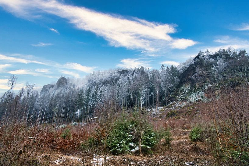 Zschirnstein avec des arbres couverts de neige et du brouillard au sommet par Martin Köbsch