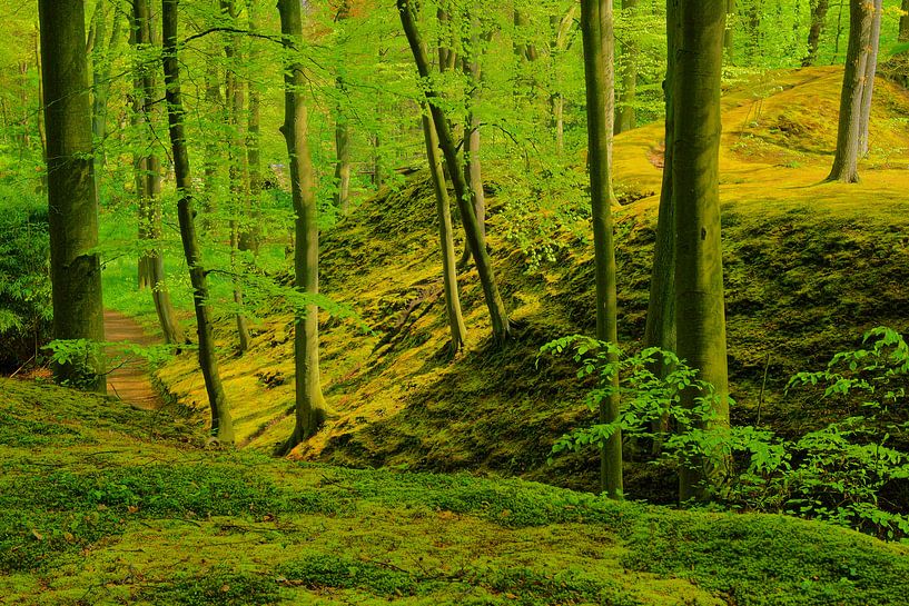 Landgoed Elswout von Michel van Kooten